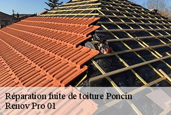 Réparation fuite de toiture  poncin-01450 Renov Pro 01