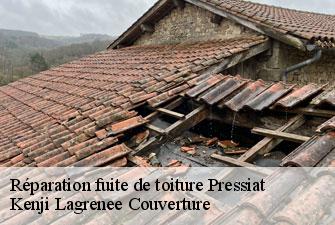 Réparation fuite de toiture pressiat-01370 Kenji Lagrenee Couverture