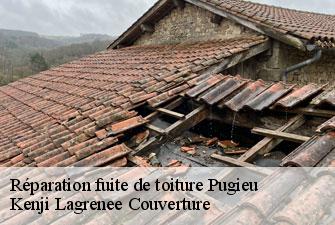 Réparation fuite de toiture pugieu-01510 Kenji Lagrenee Couverture