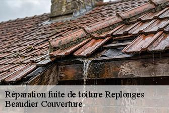 Réparation fuite de toiture  replonges-01620 Beaudier Couverture 