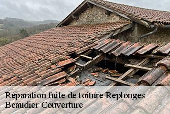 Réparation fuite de toiture  replonges-01620 Beaudier Couverture 