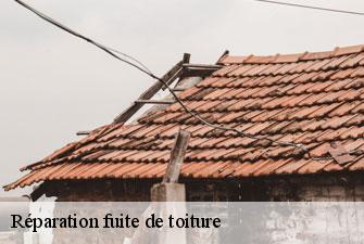 Réparation fuite de toiture reyrieux-01600 Kenji Lagrenee Couverture