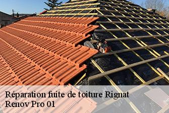 Réparation fuite de toiture  rignat-01250 Renov Pro 01