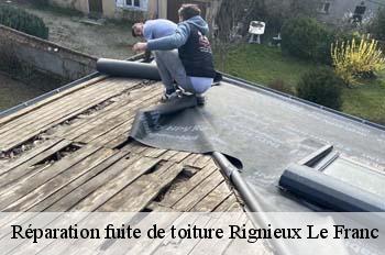 Réparation fuite de toiture  rignieux-le-franc-01800 