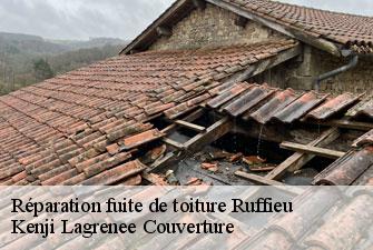 Réparation fuite de toiture  ruffieu-01260 Kenji Lagrenee Couverture