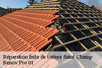 Réparation fuite de toiture  saint-champ-01300 Renov Pro 01
