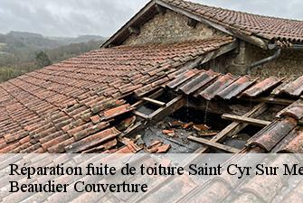 Réparation fuite de toiture  saint-cyr-sur-menthon-01380 Beaudier Couverture 