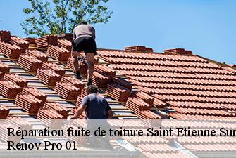 Réparation fuite de toiture  saint-etienne-sur-reyssouze-01190 Renov Pro 01