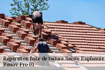 Réparation fuite de toiture  sainte-euphemie-01600 Renov Pro 01