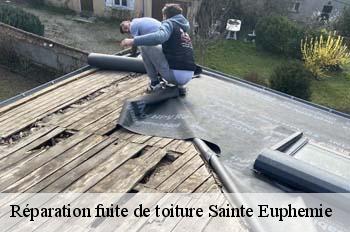 Réparation fuite de toiture  sainte-euphemie-01600 