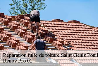 Réparation fuite de toiture  saint-genis-pouilly-01630 Renov Pro 01