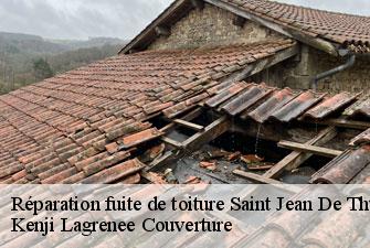 Réparation fuite de toiture saint-jean-de-thurigneux-01390 Kenji Lagrenee Couverture