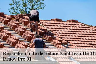 Réparation fuite de toiture  saint-jean-de-thurigneux-01390 Renov Pro 01