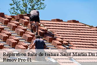 Réparation fuite de toiture  saint-martin-du-frene-01430 Renov Pro 01
