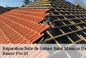 Réparation fuite de toiture  saint-maurice-de-remens-01500 Renov Pro 01