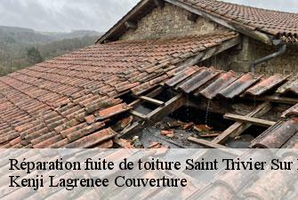 Réparation fuite de toiture saint-trivier-sur-moignans-01990 Kenji Lagrenee Couverture