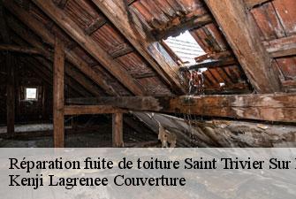 Réparation fuite de toiture saint-trivier-sur-moignans-01990 Kenji Lagrenee Couverture