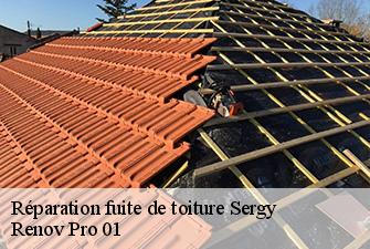 Réparation fuite de toiture  sergy-01630 Renov Pro 01