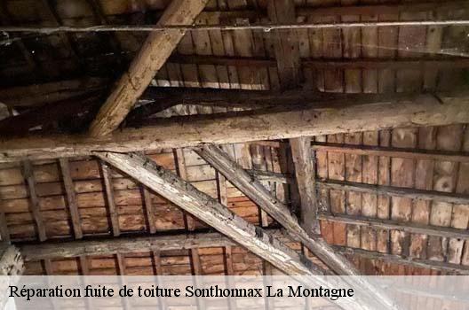 Réparation fuite de toiture  sonthonnax-la-montagne-01580 