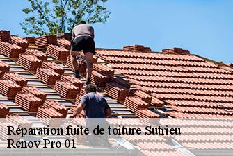 Réparation fuite de toiture  sutrieu-01260 Renov Pro 01