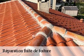 Réparation fuite de toiture  tossiat-01250 Renov Pro 01