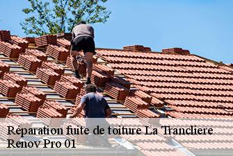 Réparation fuite de toiture  la-trancliere-01160 Renov Pro 01