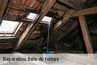 Réparation fuite de toiture  treffort-cuisiat-01370 Beaudier Couverture 