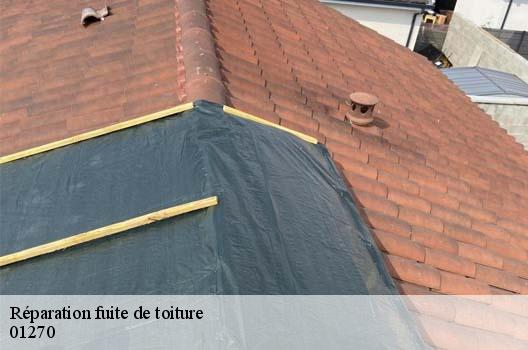 Réparation fuite de toiture  verjon-01270 