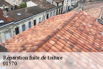 Réparation fuite de toiture  vesines-01570 Renov Pro 01