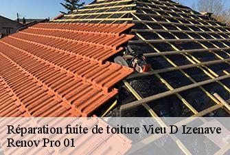 Réparation fuite de toiture  vieu-d-izenave-01430 Renov Pro 01