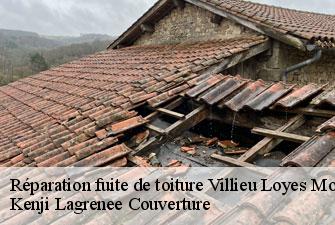 Réparation fuite de toiture villieu-loyes-mollon-01800 Kenji Lagrenee Couverture