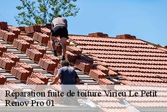 Réparation fuite de toiture  virieu-le-petit-01260 Renov Pro 01