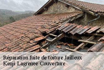 Réparation fuite de toiture jailleux-01120 Kenji Lagrenee Couverture