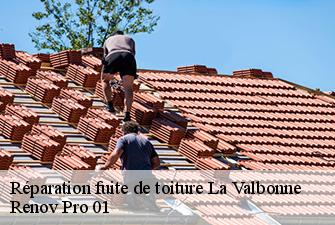 Réparation fuite de toiture  la-valbonne-01360 Renov Pro 01