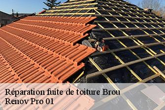 Réparation fuite de toiture  brou-01000 Renov Pro 01