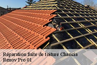 Réparation fuite de toiture  chancia-01590 Renov Pro 01
