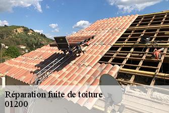 Réparation fuite de toiture  saint-germain-sur-rhone-01200 Renov Pro 01