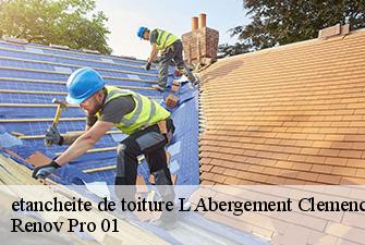 etancheite de toiture  l-abergement-clemenciat-01400 Renov Pro 01