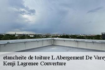 etancheite de toiture l-abergement-de-varey-01640 Kenji Lagrenee Couverture