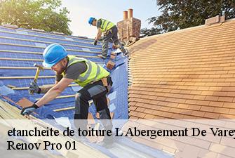 etancheite de toiture  l-abergement-de-varey-01640 Renov Pro 01