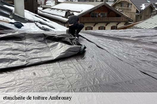 etancheite de toiture  ambronay-01500 