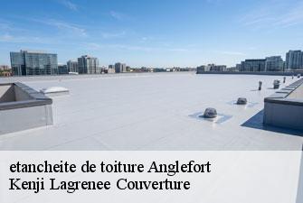 etancheite de toiture  anglefort-01350 Kenji Lagrenee Couverture