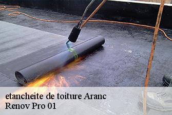 etancheite de toiture  aranc-01110 Renov Pro 01