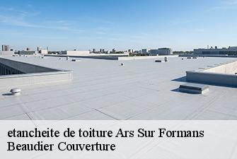 etancheite de toiture  ars-sur-formans-01480 Beaudier Couverture 