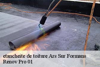 etancheite de toiture  ars-sur-formans-01480 Renov Pro 01