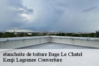 etancheite de toiture bage-le-chatel-01380 Kenji Lagrenee Couverture