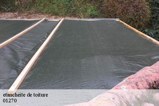 etancheite de toiture  beaupont-01270 