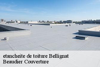 etancheite de toiture  bellignat-01810 Beaudier Couverture 