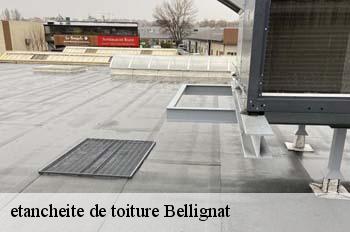 etancheite de toiture  bellignat-01810 