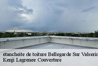 etancheite de toiture bellegarde-sur-valserine-01200 Kenji Lagrenee Couverture